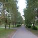 Разделительная полоса в городе Череповец