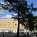 Вековая лиственница в городе Екатеринбург