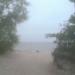 Wejście na plażę in Rowy city
