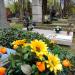 The grave of Janina Reszka in Warsaw city
