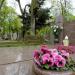 The grave of Rybicki family. in Warsaw city