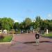 Клумба в городе Самара