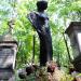 The grave of Jadwiga Sosnkowska in Warsaw city