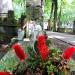 The grave of Jan Nowak-Jeziorański in Warsaw city