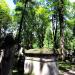 The tomb of Cyprian Godebski