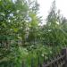 Зона отдыха в городе Череповец