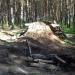 Недостроенная площадка для BMX в городе Павловский Посад