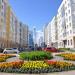 Клумба в городе Екатеринбург