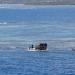 Wreck of Steam Ship