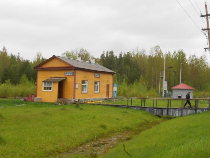 Поселок Глухарный Свердловская область