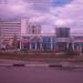 Парковая клумба (ru) в місті Севастополь
