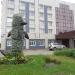 Дельфин в городе Череповец