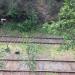 ЖД Каньон в городе Екатеринбург