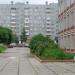 Цветник в городе Череповец