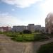 Заросший цветник в городе Череповец