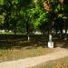 Парк 50-летия Октября в городе Севастополь
