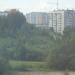 Роща в городе Череповец