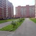 Цветник в городе Череповец