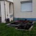 Клумба в городе Череповец