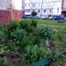 Цветник в городе Череповец