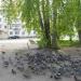 Привокзальный  сквер в городе Североуральск