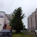Аллея в городе Череповец