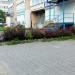 Цветник в городе Череповец