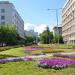 Цветник в городе Екатеринбург