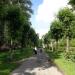 Аллея в городе Череповец