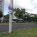 Разделительная полоса в городе Череповец
