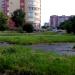 Клумба в городе Череповец