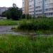 Клумба в городе Череповец