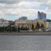 Голубые ели в городе Чебоксары