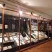 Muzeum Warmii i Mazur in Olsztyn city