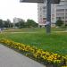 Цветник в городе Череповец