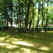 Stary Cywilny Cmentarz in Olsztyn city