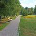 Sunny park in Poltava city