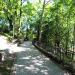 Park Podzamcze (Zamkowy) in Olsztyn city