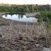 Quarry pond