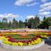 Клумба в городе Екатеринбург