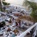 Kahlua Beach Bar