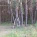 Площадка для воркаута в городе Павловский Посад