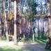 Мотузковий парк пригод Sky Park в місті Житомир