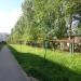 Перекладины в городе Череповец