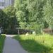 Перекладины в городе Череповец