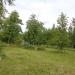 Картодром в городе Череповец