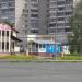 Цветник в городе Череповец
