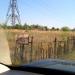 Бывший санпост Матвеевского кладбища в городе Запорожье