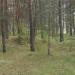 Гнёздовские курганы Лесной группы в городе Смоленск