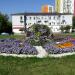 Клумба в городе Екатеринбург